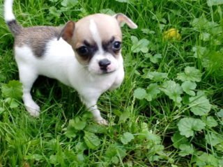 20160821_103507.jpg &nbsp;