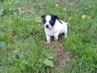 20160821_103954.jpg &nbsp;